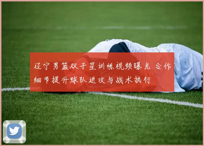 辽宁男篮双子星训练视频曝光 合作细节提升球队进攻与战术执行